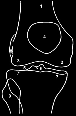 Incidence de la radiographie de face
