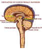 lcr-circul.jpg (41569 octets)