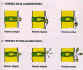 Diffrentes types d' Hernies Discales