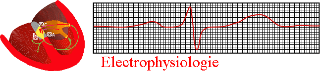 Electrophysiologie