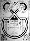cervo12w.jpg (31418 octets)