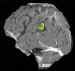 irmce3d.jpg (14318 octets)