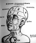 Dessin d'Aristote publié en 1513